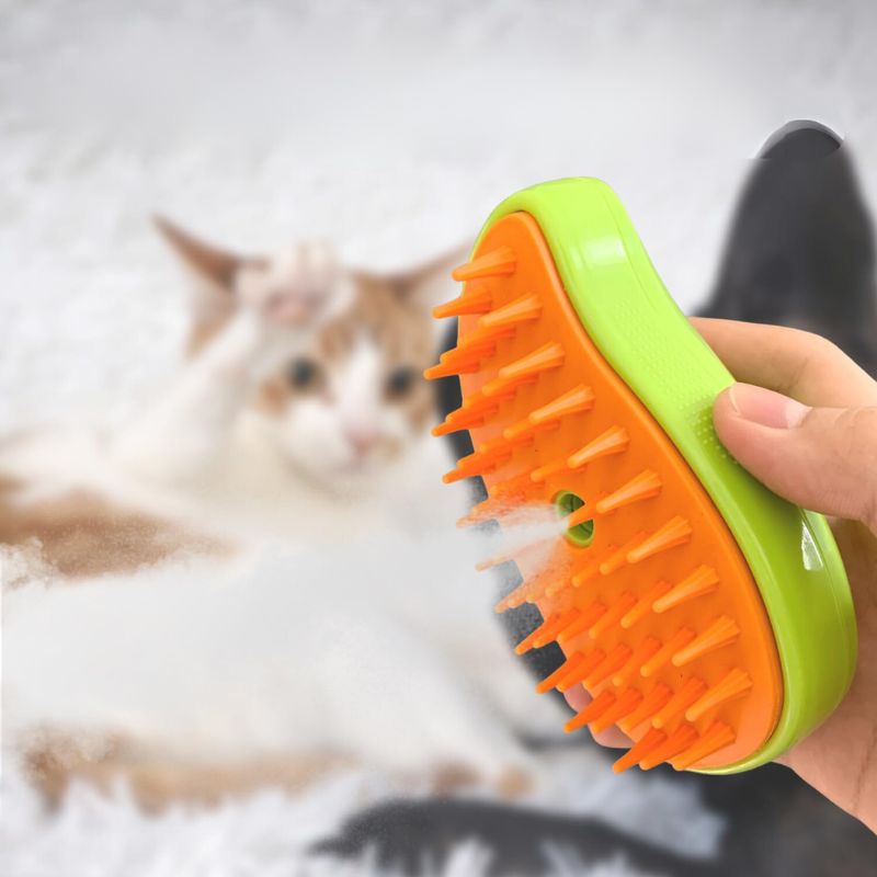 Brosse à Vapeur pour Chat