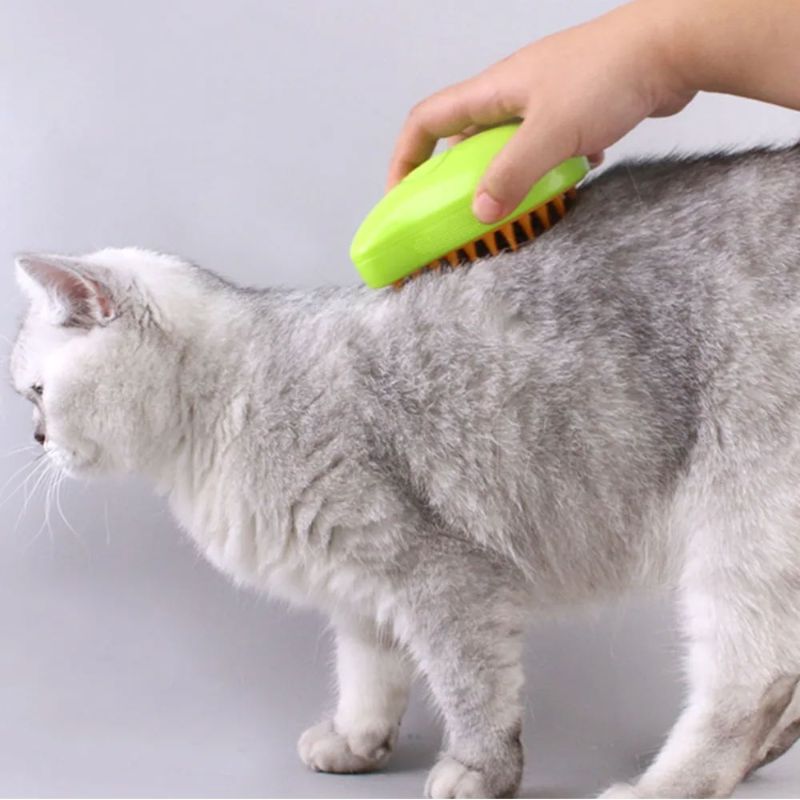 Brosse à Vapeur pour Chat