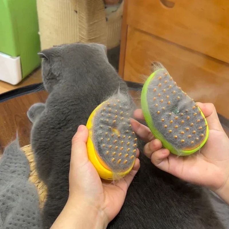 Brosse à Vapeur pour Chat