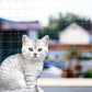 Filet Balcon Chat Anti-fugue