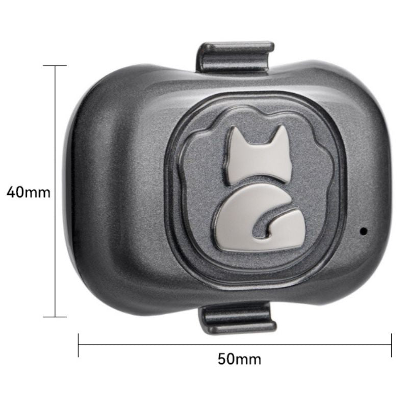 Collier GPS pour Chat