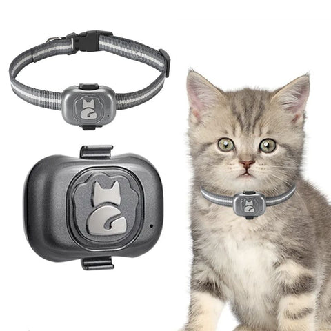 Collier GPS pour Chat