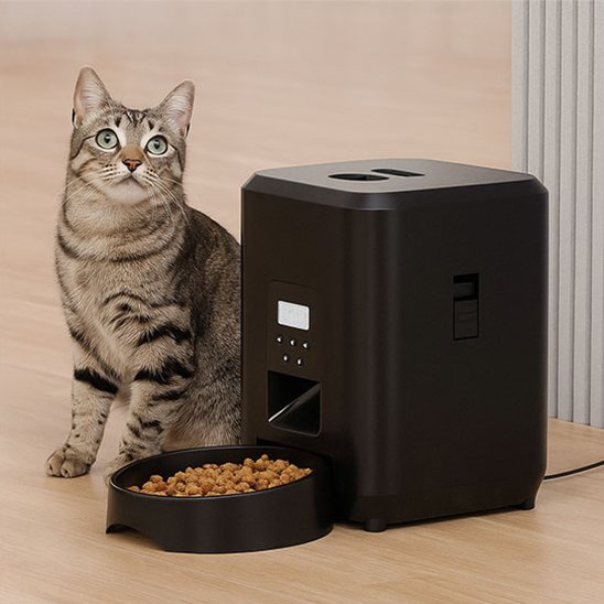 Distributeur de croquettes pour chat automatique
