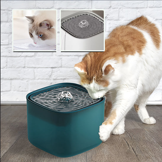 Fontaine A Eau Chat - Smart Cube 3L