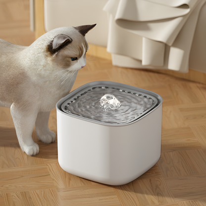 chat qui s'approche d'une fontaine à eau en mouvement blanche et grise cubique et design