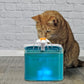 chat roux qui boit dans sa fontaine carrée en plastique à LED bleue éclairé de l'intérieur