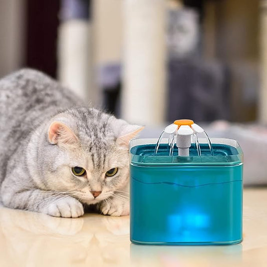 chat gris allong" devant sa fontaine a LED bleue