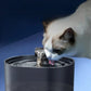 Fontaine à Eau pour Chat Détecteur de Mouvement
