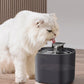 Fontaine à Eau pour Chat Détecteur de Mouvement