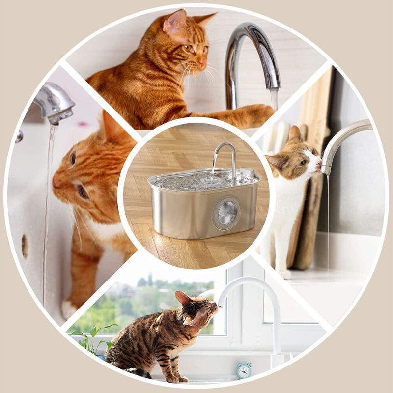 Fontaine à Eau pour Chat Inox