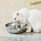 Fontaine à Eau pour Chat Inoxydable
