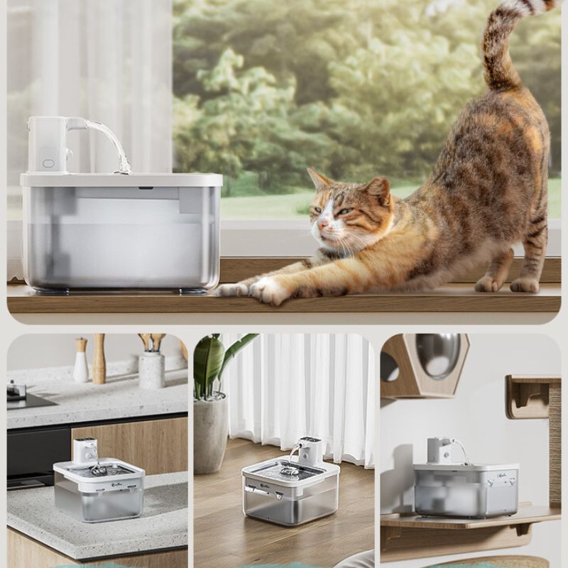 Fontaine à Eau pour Chat Automatique Sans Fil