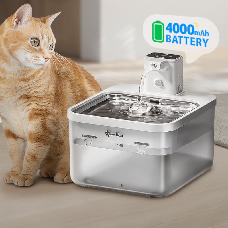 Fontaine à Eau pour Chat Automatique Sans Fil