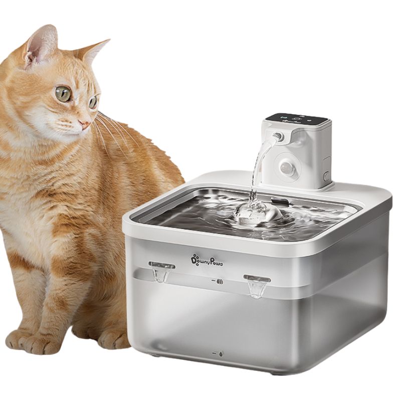 Fontaine à Eau pour Chat Automatique Sans Fil