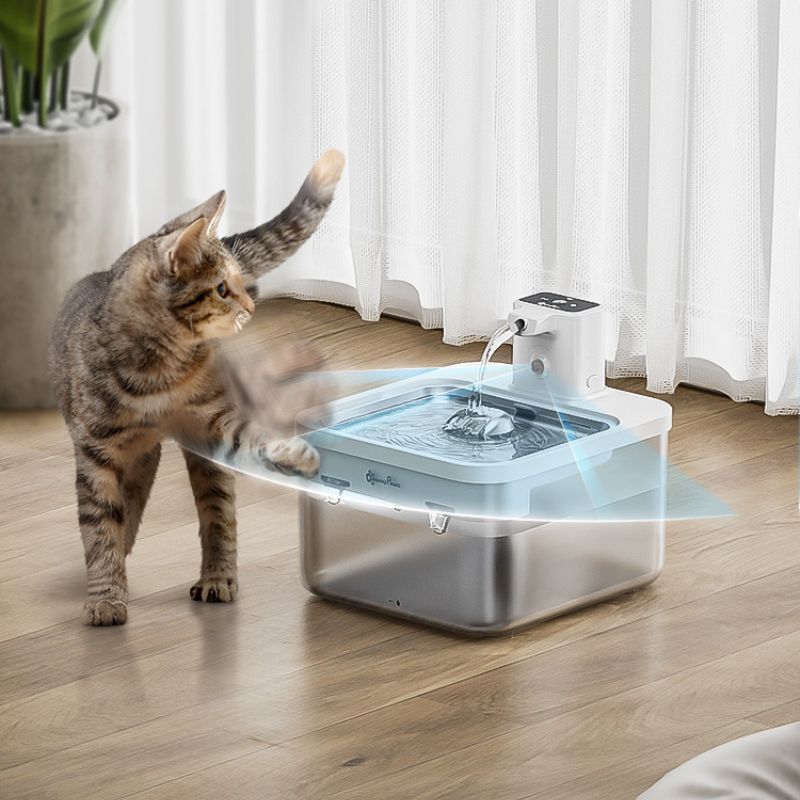 Fontaine à Eau pour Chat Automatique Sans Fil