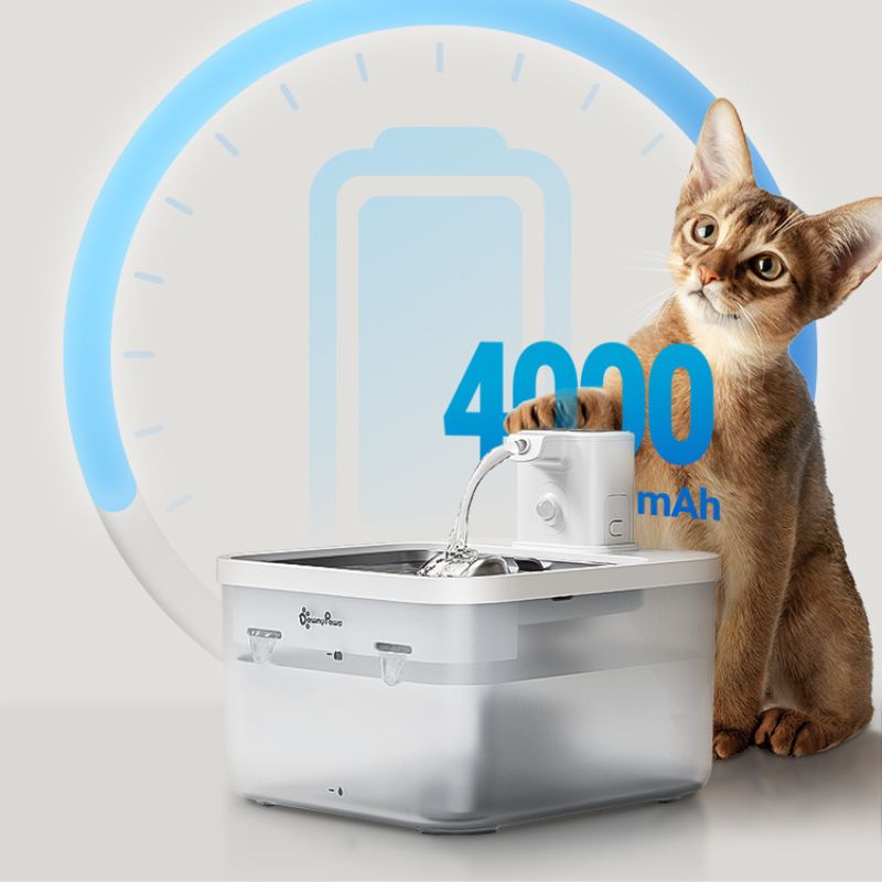 Fontaine à Eau pour Chat Automatique Sans Fil