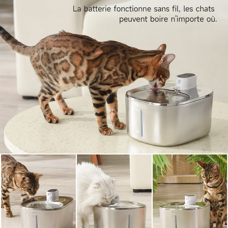 Fontaine à Eau pour Chat Sans Fil