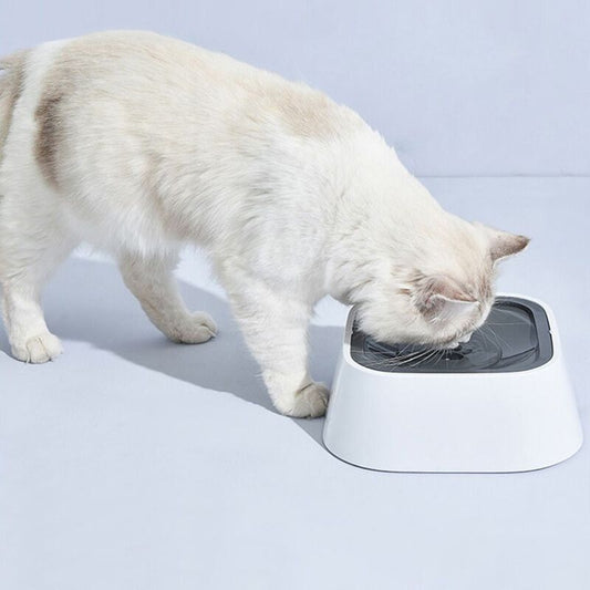 Gamelle d'Eau pour Chat Anti-Débordement