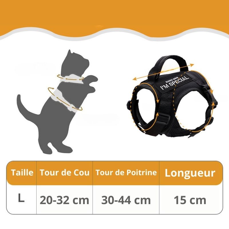 Harnais pour Chat Spécial