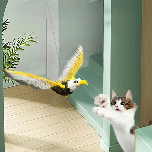 Jouet Oiseau pour Chat