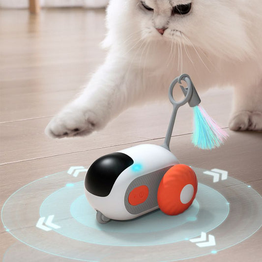 Jouet pour Chat Interactif Télécommandé