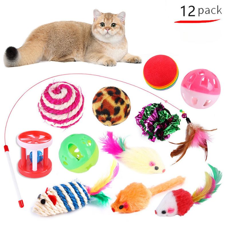 Jouets Interactifs pour Chat