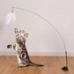 Jouet pour Chat Interactif Ventouse