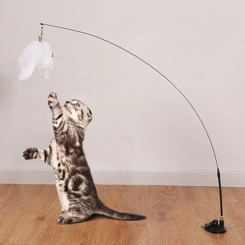 Jouet pour Chat Interactif Ventouse