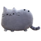 Peluche Chat Kawaii