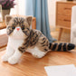 Peluche Chat Réaliste Poil Court