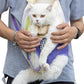 Porte Chat