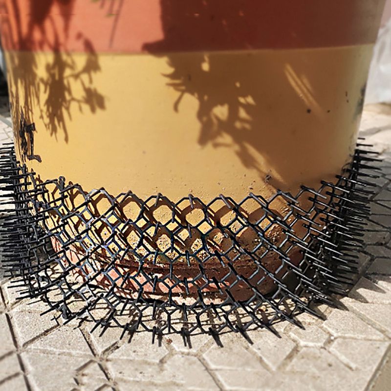 Répulsif Chat Extérieur Granulés 400g - Anti-Urine Et Grattage - Fabriqué En France
