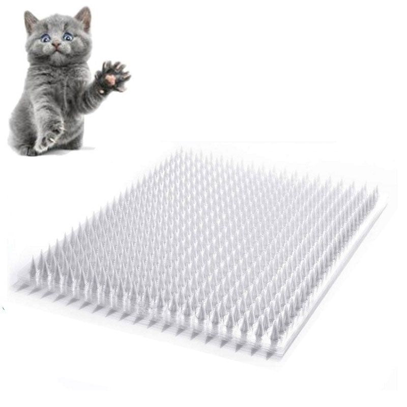 Répulsif Chat Extérieur Radical Grand Format