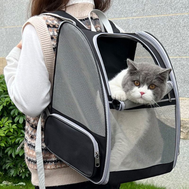 Sac à Chat