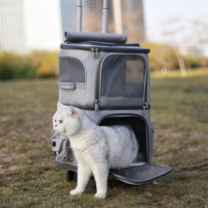 Sac de Transport à Roulettes pour 2 Chats