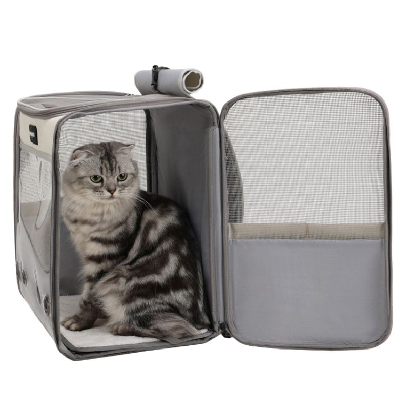 Sac de Transport pour Chat 10 Kg