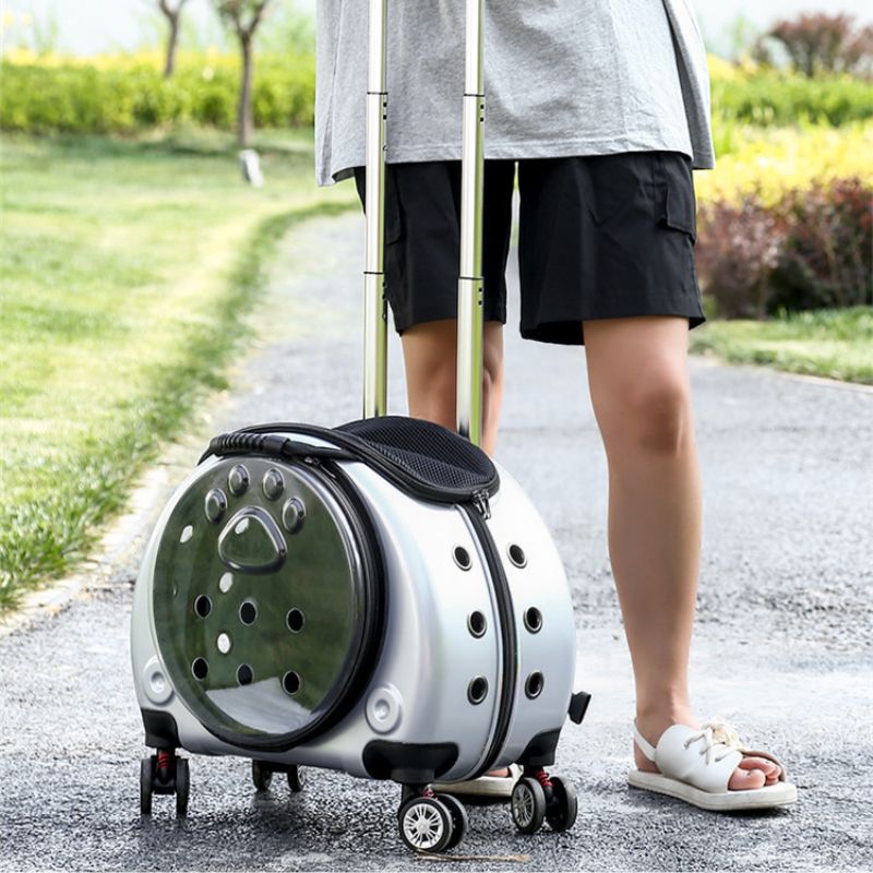 femme qui marche  à côté d'un sac de transport à roulettes argenté