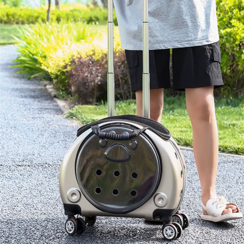 femme qui marche à côté en faisant rouler  un sac de transport à roulettes doré