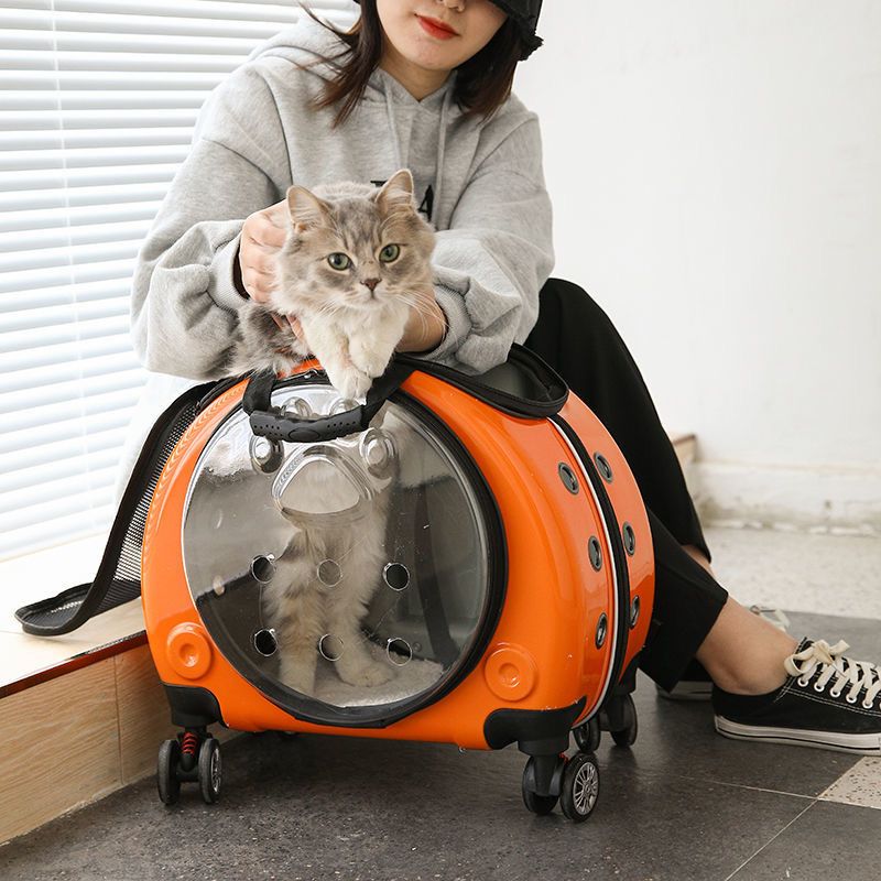 femme qui sort son chat d'un sac de transport à roulettes orange