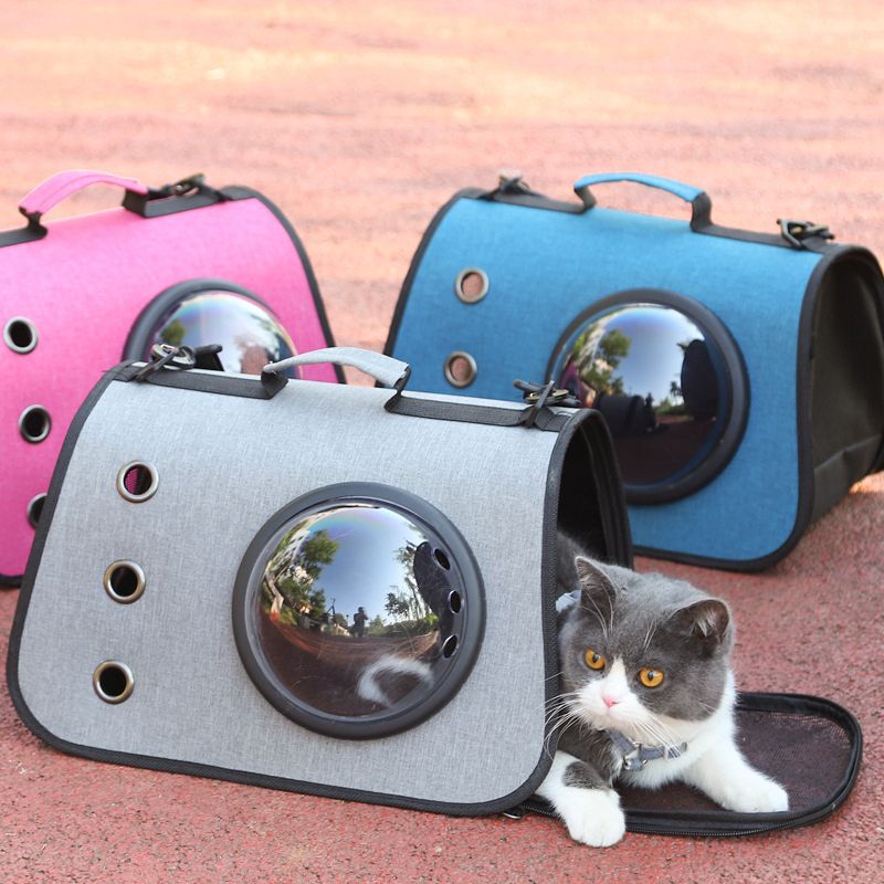 sac-de-transport-pour-chat-avec-hublot-chaton