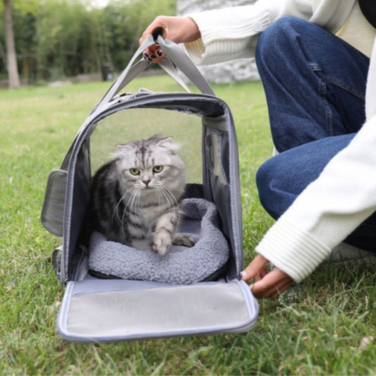 Sac pour Transporter votre Chat