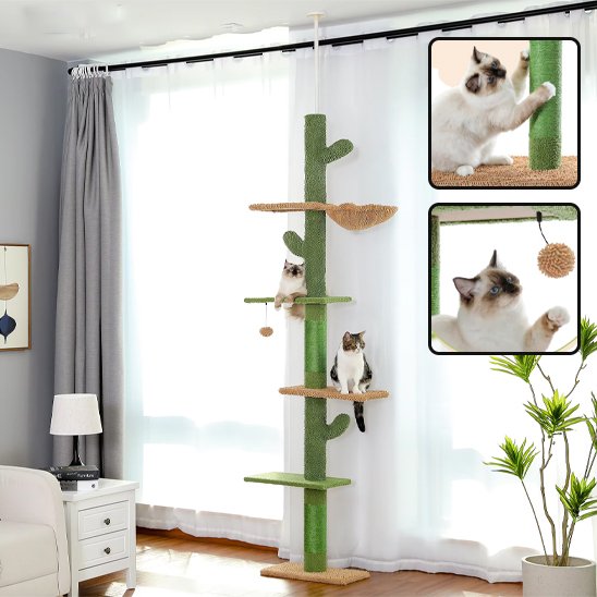 Arbre à chat