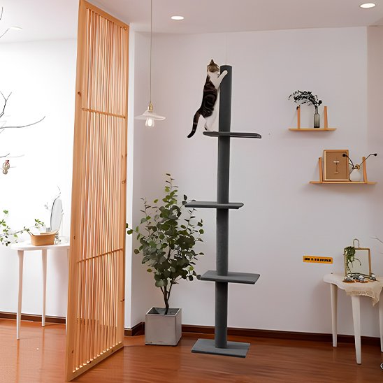 Arbre à chat