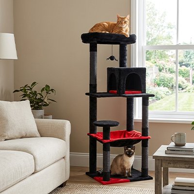 Arbre à Chat à étage