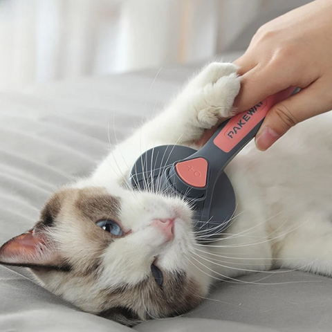 Brosse pour Chat avec Poignée Ergonomique dans la main d'une personne brossant un chat