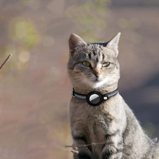 collier-chat-airtag-reflechissant_anti-fugue