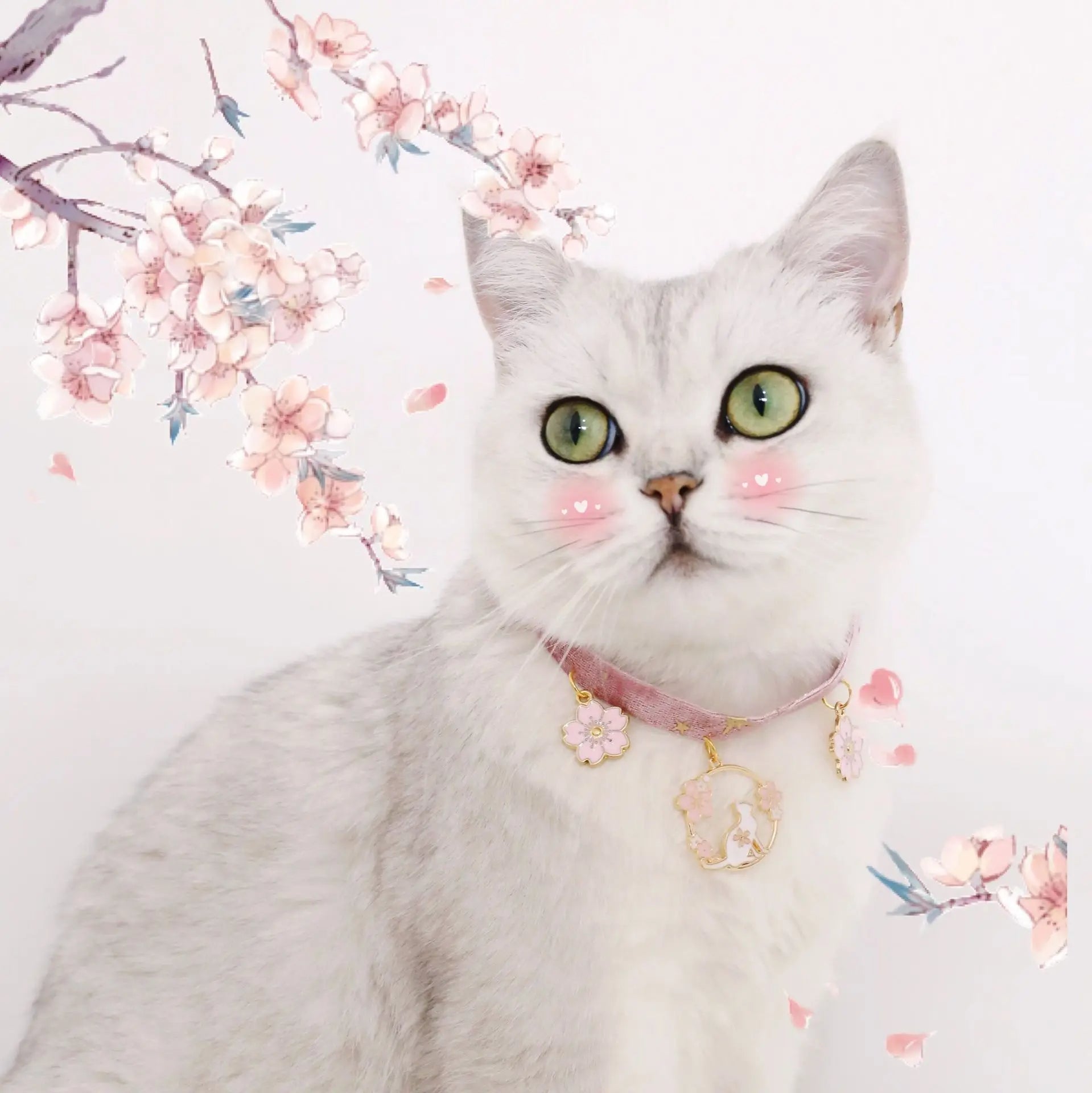 Collier pour Chat Mignon avec Pendentifs