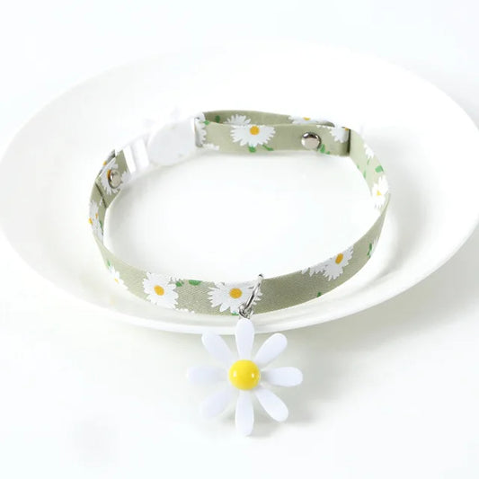 Collier pour Chat Réglable avec Cloche et Fleurs dans un bol pour chat blanc sur fond blanc