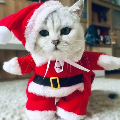 Déguisement pour chat