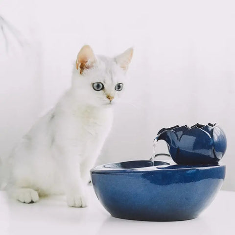 Fontaine à Eau Chat Bleue en Céramique avec Faux Poissons avec un chat devant sur fond blanc